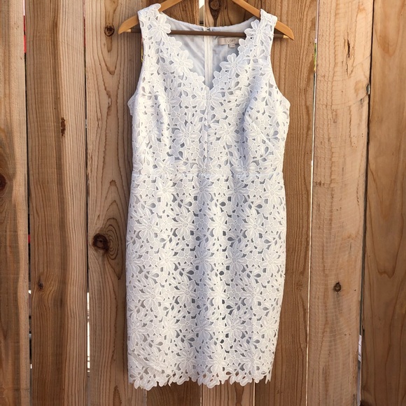 HP LOFT Lace Dress with Pale Blue Underlay NWT Women’s Size 8P - Picture 2 of 9
